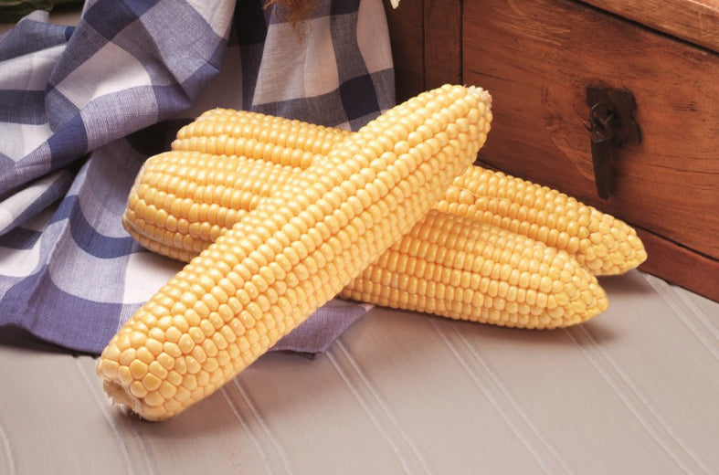 Maíz Overland Amarillo Super Dulce Saco 100 millares