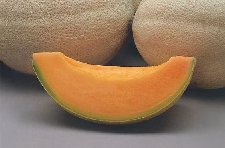 Melon Ovation Sobre 15 Millares