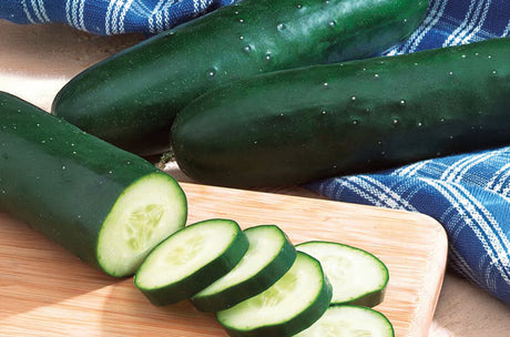 Pepino Diomede Sobre 15 Millares