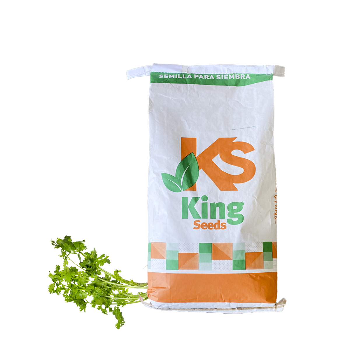 Perejil Italian Dark Green Saco 25 Lb