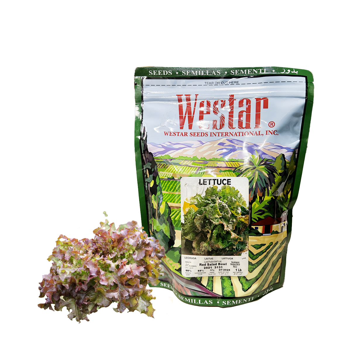 LECHUGA RED BOWL SALAD SOB 1LB