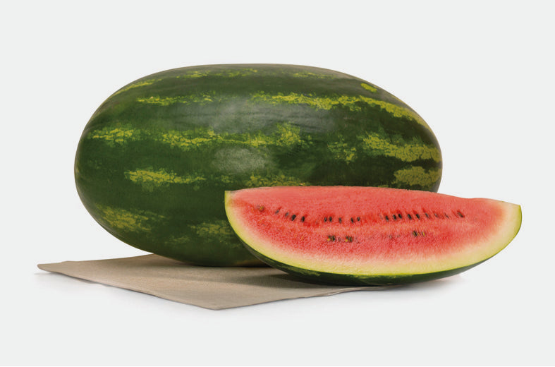 Sandia Jamboree Sobre 5 Millares