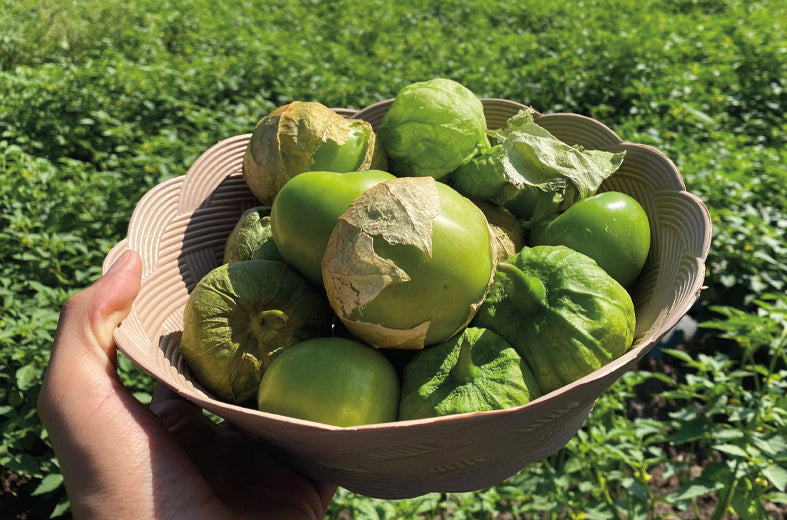 Tomatillo Brigadier Sobre 25 millares