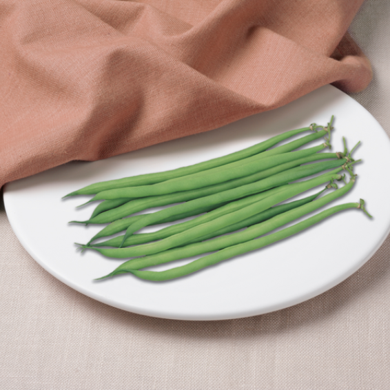 Ejote Frances Serengeti Saco 100 millares