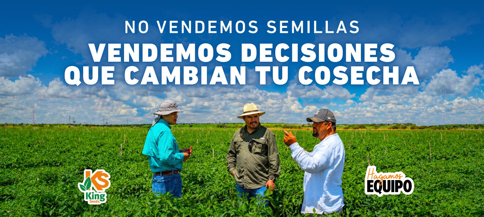 No vendemos semillas. Vendemos decisiones que cambian tu cosecha.