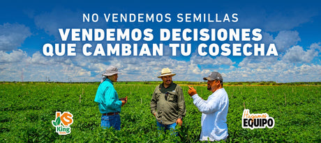 No vendemos semillas. Vendemos decisiones que cambian tu cosecha.