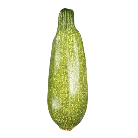 Calabaza Grey Zucchini