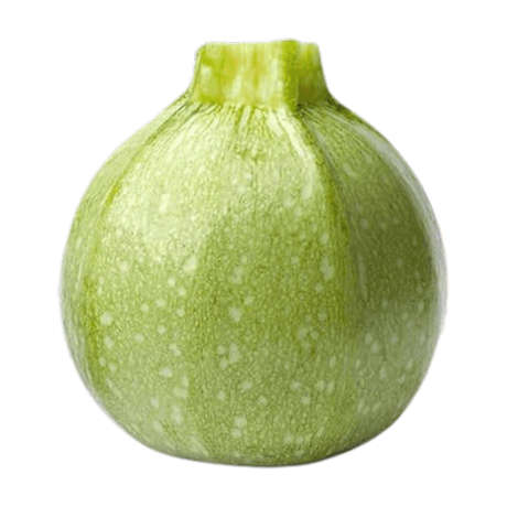 Calabaza Round Zucchini