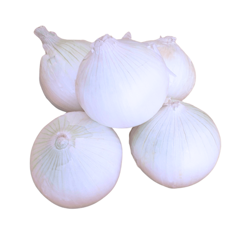 Cebolla