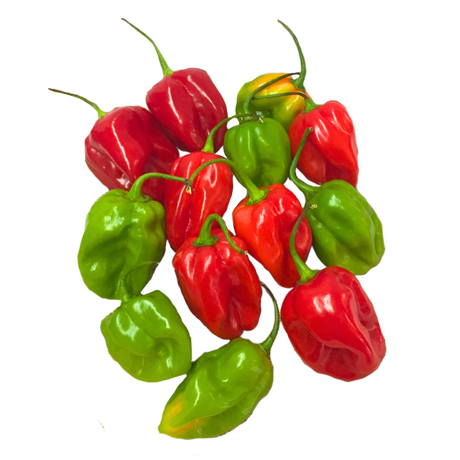 Chiles