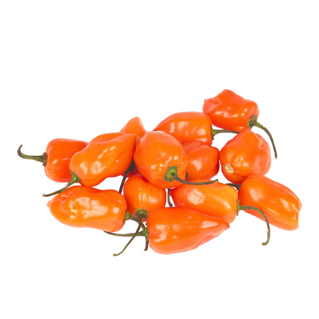 Chile Habanero Naranja