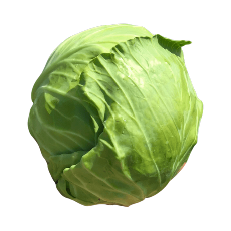 Repollo Escazu