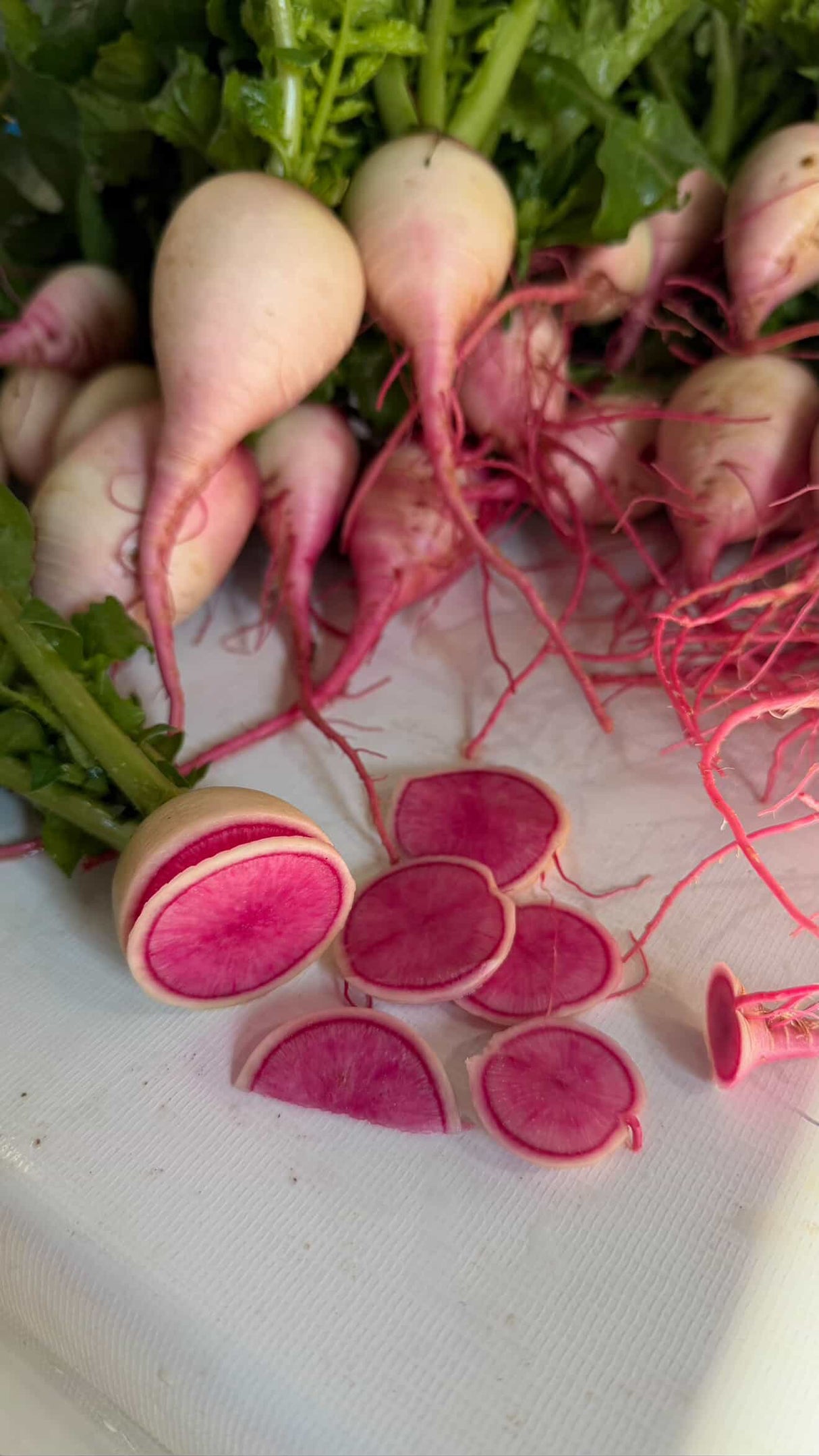 Rábano Sandía Red Meat Sobre 1 Lb