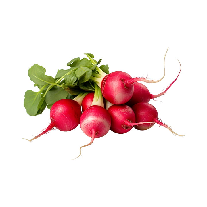 Rabáno