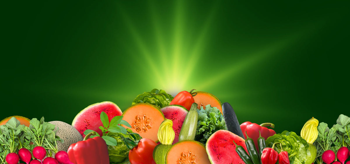 King Seeds | Semillas para siembra – King Seeds Online