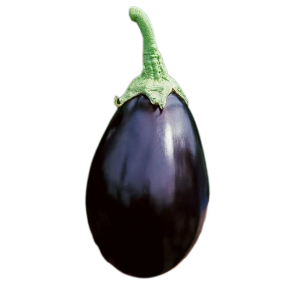 Berenjena