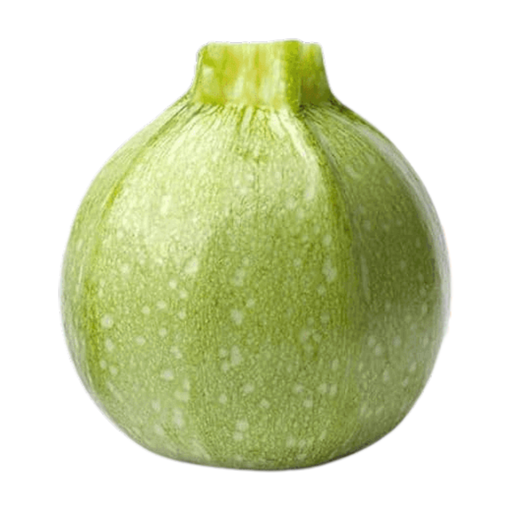 Calabaza Round Zucchini Saco 50 Lb