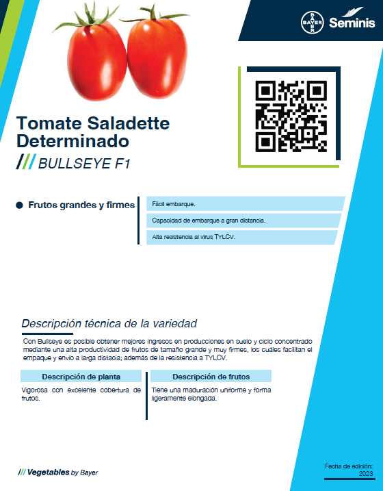 Tomate determinado Bullseye (8870) Sobre 5 millares