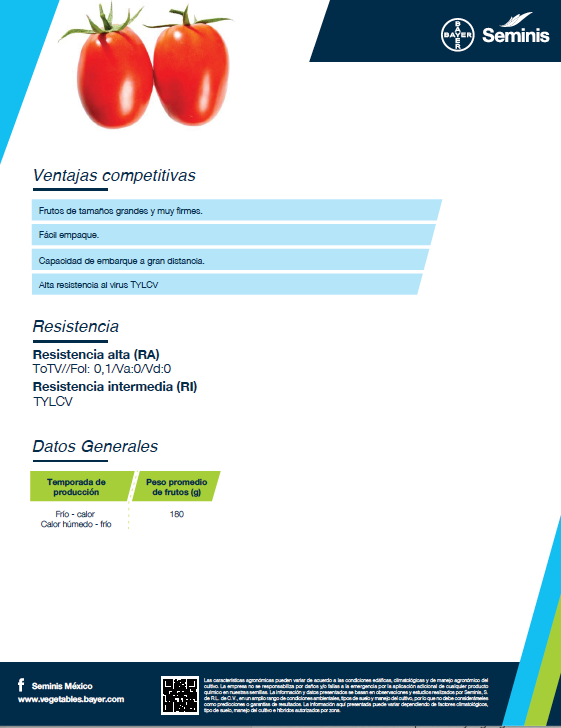 Tomate determinado Bullseye (8870) Sobre 5 millares