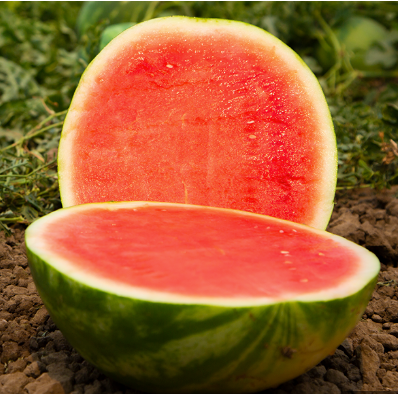 Sandía Valor Sobre 5 millares