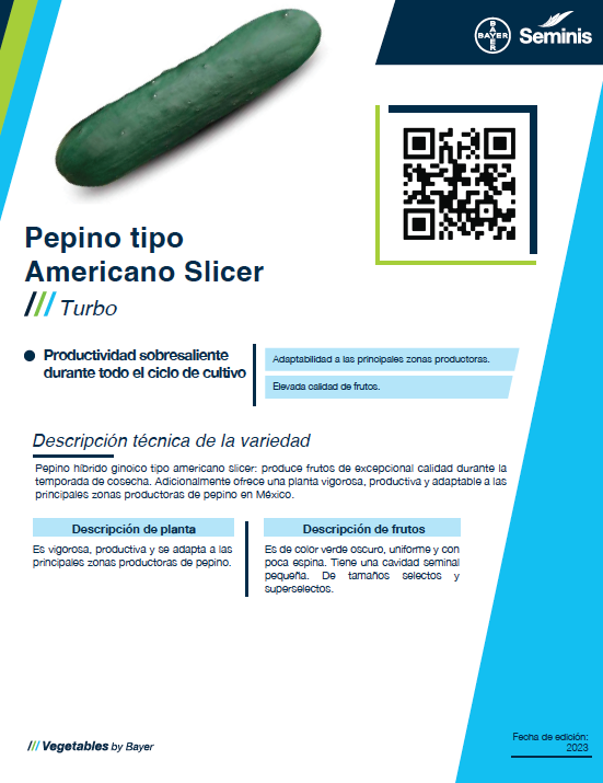 Pepino Americano Turbo Sobre 15 millares