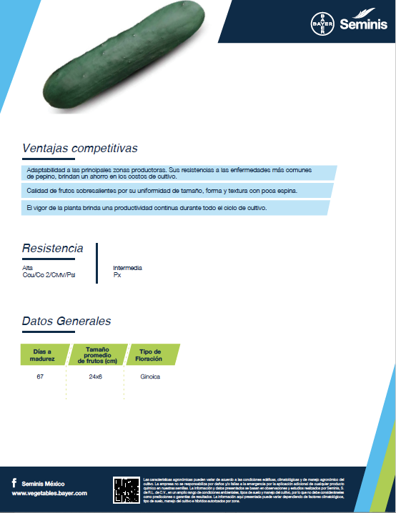 Pepino Americano Turbo Sobre 15 millares