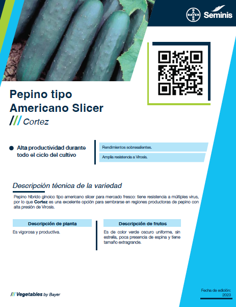 Pepino Americano Cortez Sobre 15 millares