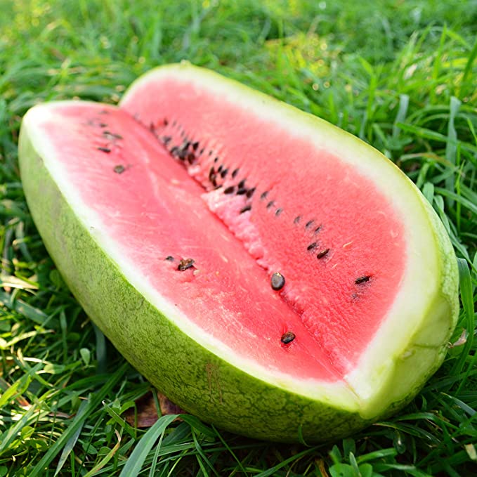 Sandia Charleston Grey Sobre 1Lb