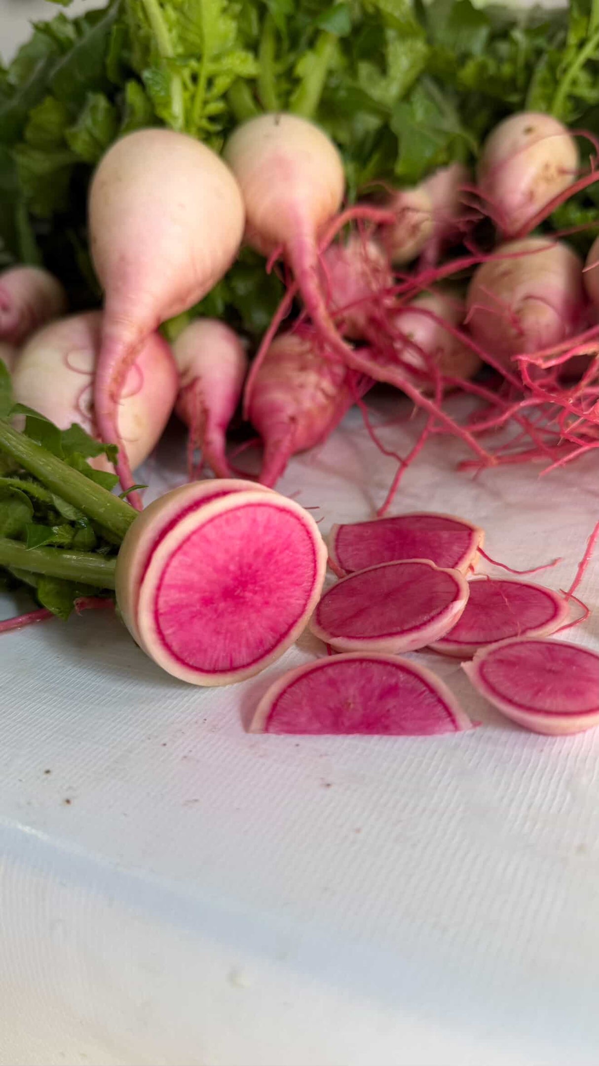 Rábano Sandía Red Meat Sobre 1 Lb