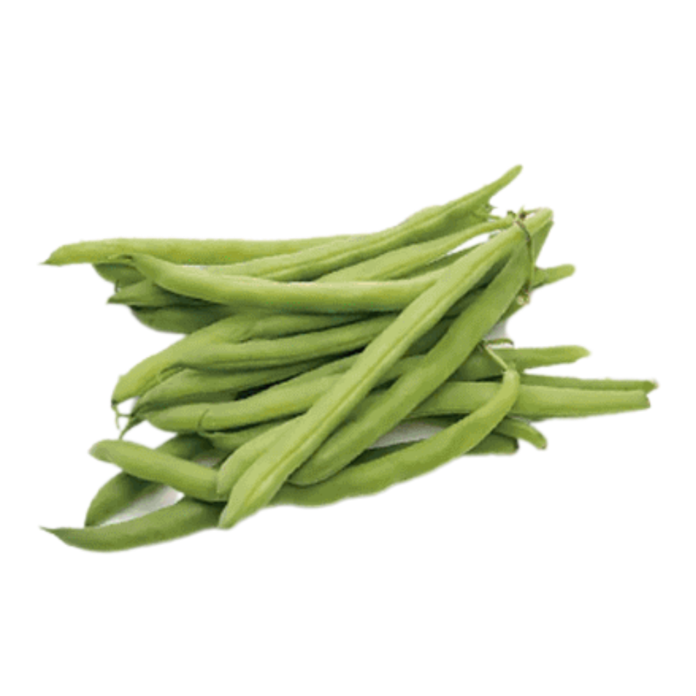 Ejote