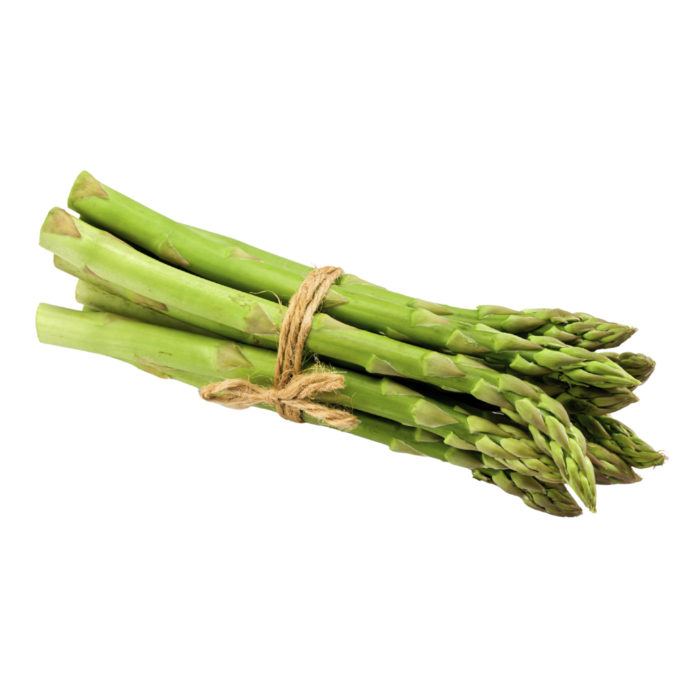 Espárrago