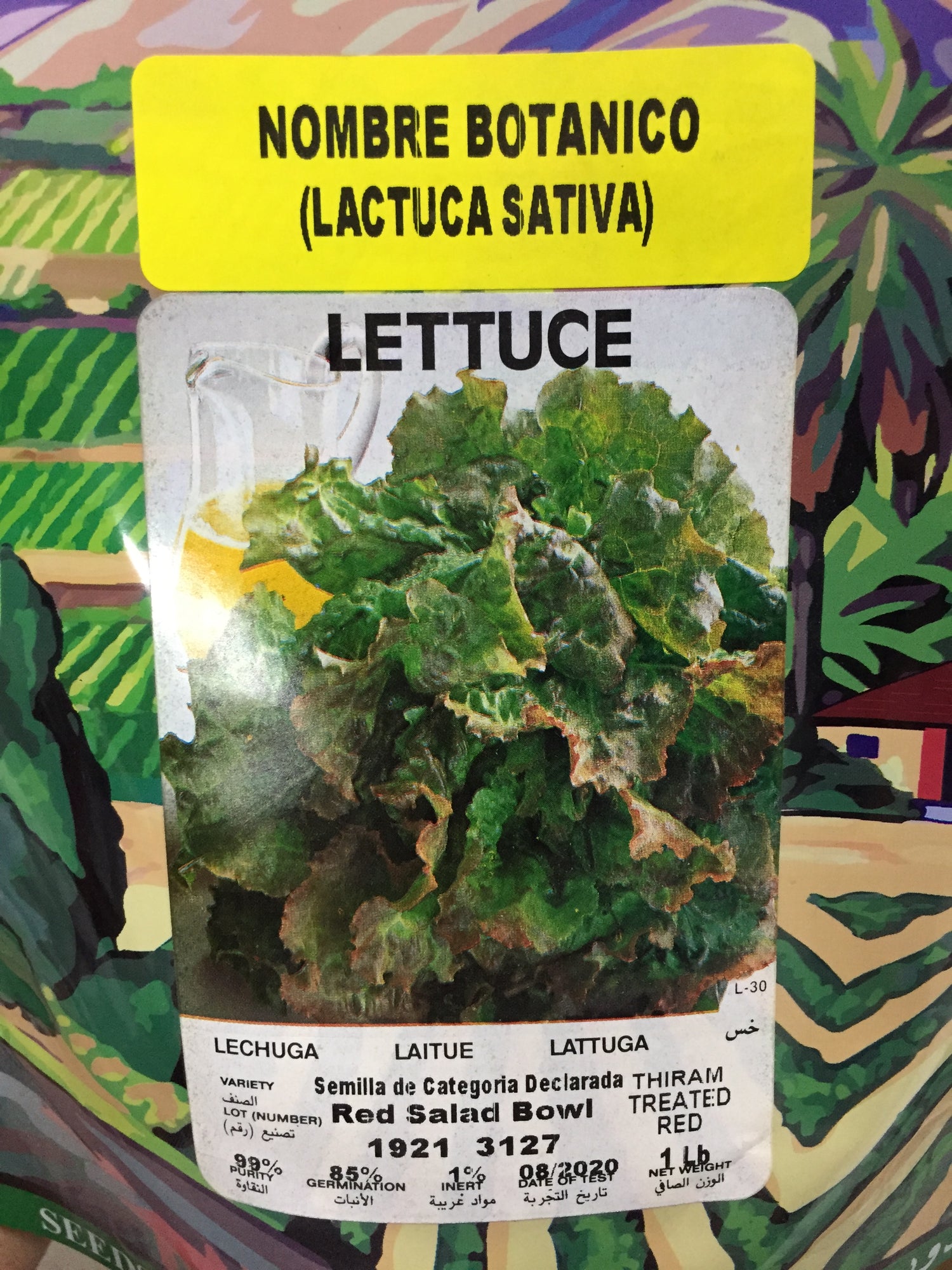 LECHUGA RED BOWL SALAD SOB 1LB