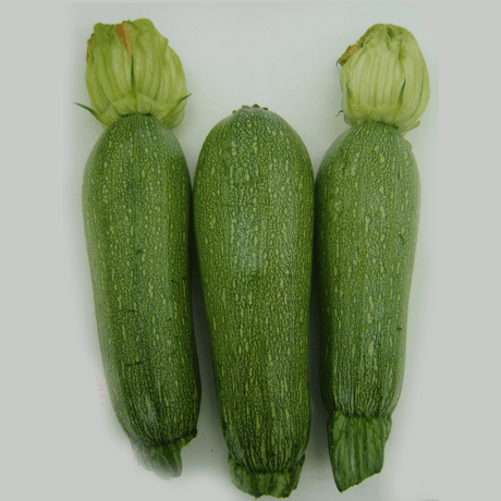 Calabaza Grey Zucchini Saco 50Lb