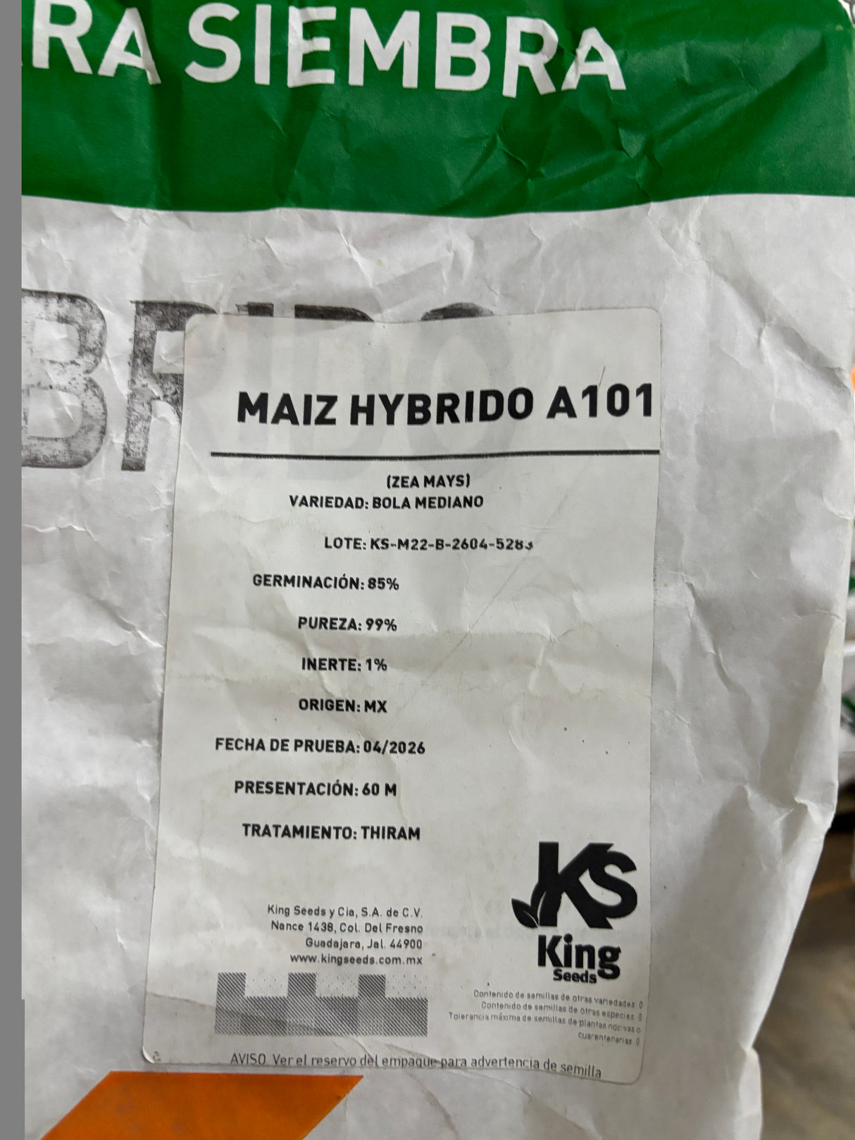 Maíz amarillo A-101 Saco 60 millares tamaño Mediano bola