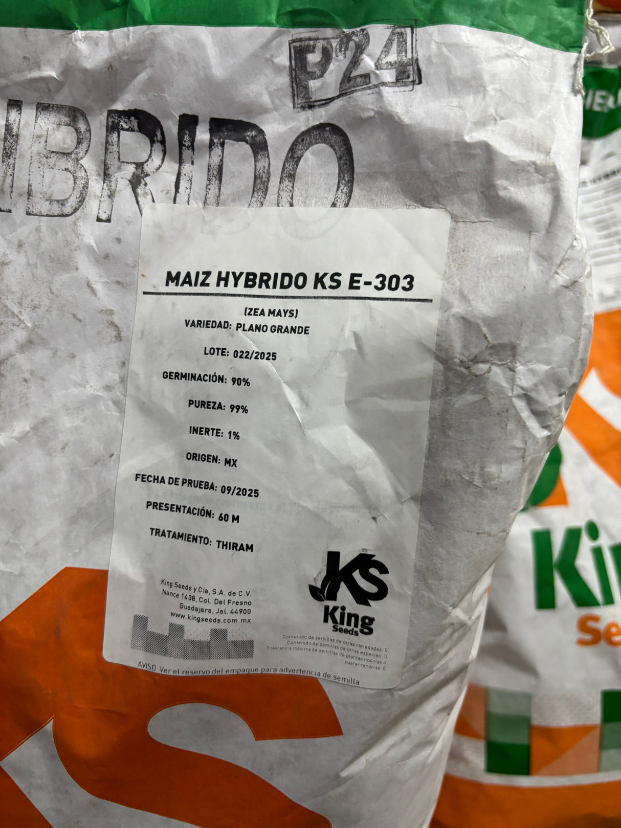 Maíz Elotero KSX-303 Saco 60 millares. Semilla tamaño grande y plano.