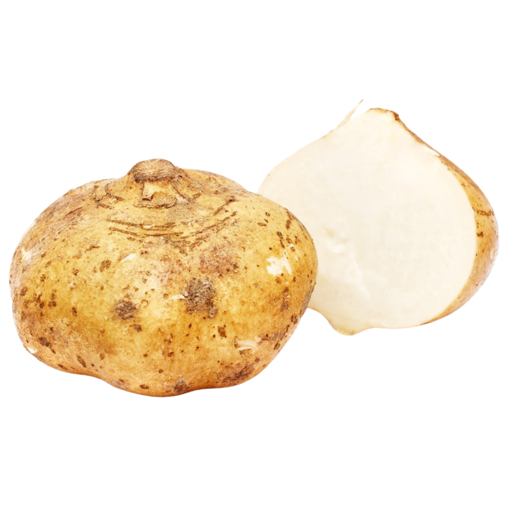 Jícama