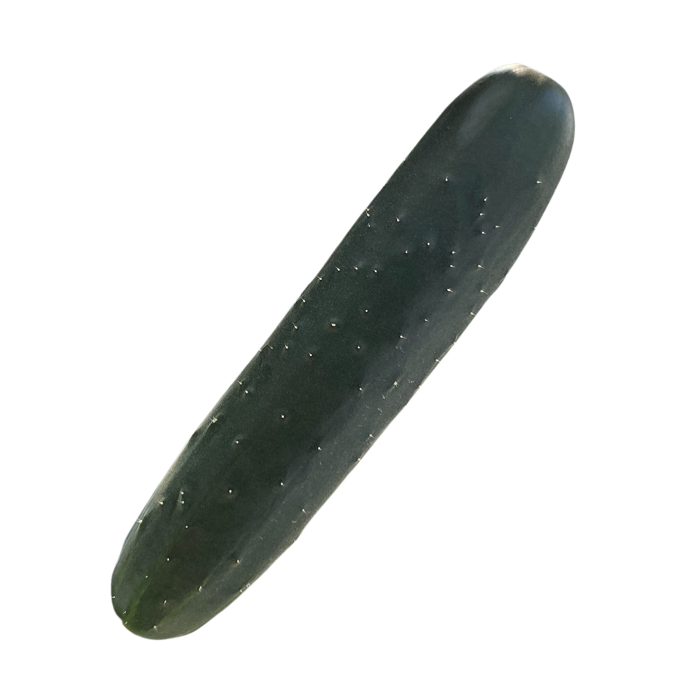Pepino