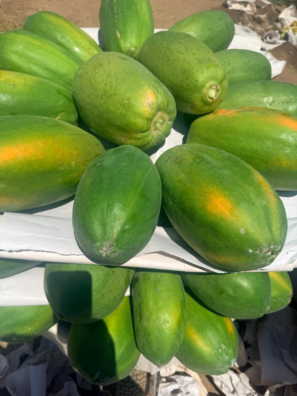 Papaya DC2 Colimosa Sobre 2.5 millares
