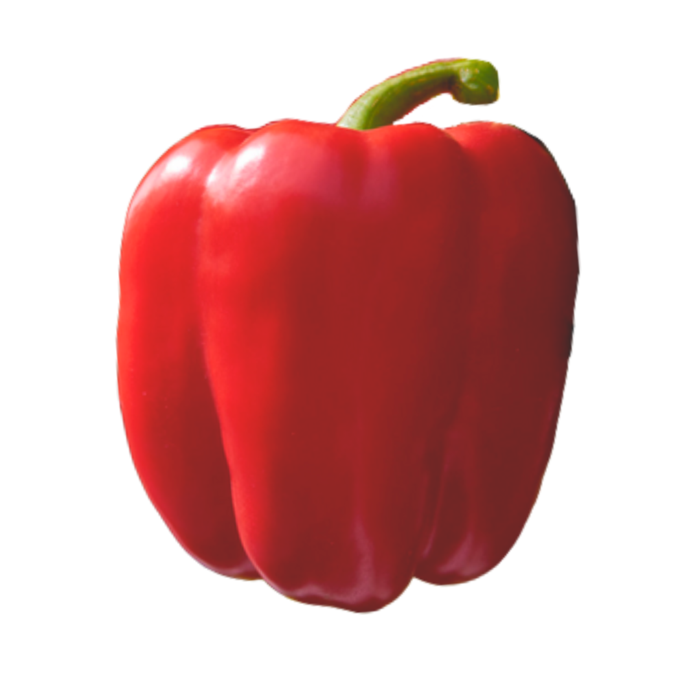 Pimiento campo abierto