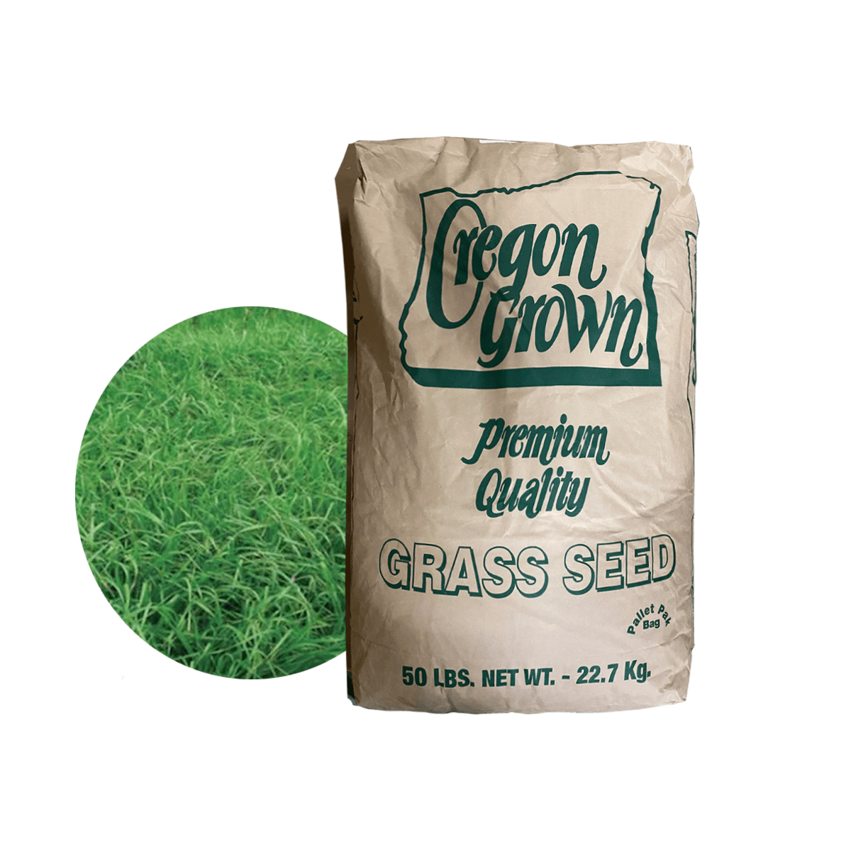 Pasto Perennial Ryegrass Saco 50 Lb