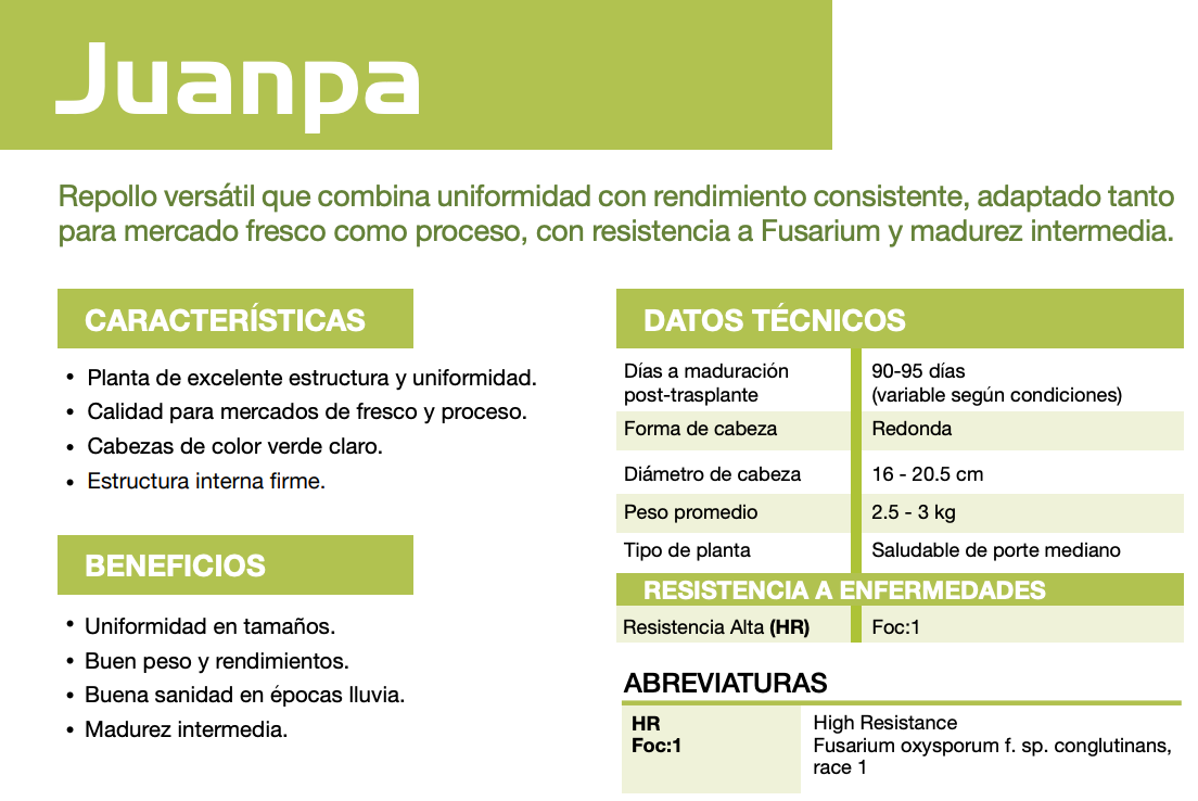 Repollo Juanpa (SGW0159) Sobre 25 Millares