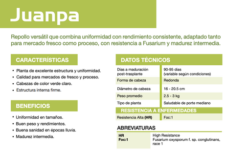 Repollo Juanpa (SGW0159) Sobre 25 Millares