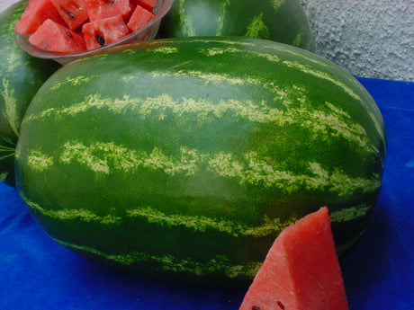 Sandía Sunsweet Sobre 1 LB