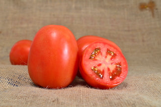 Tomate Nápoles Sobre 1 millar. Descuento 25% (se aplica en el carrito)