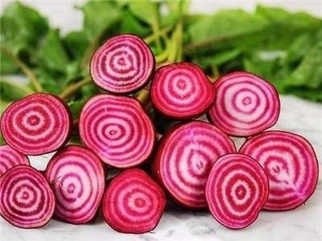Betabel Chioggia Sobre 1 Lb