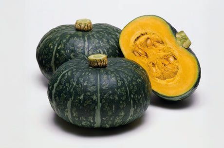 Calabaza Delica Cubeta 10Lb
