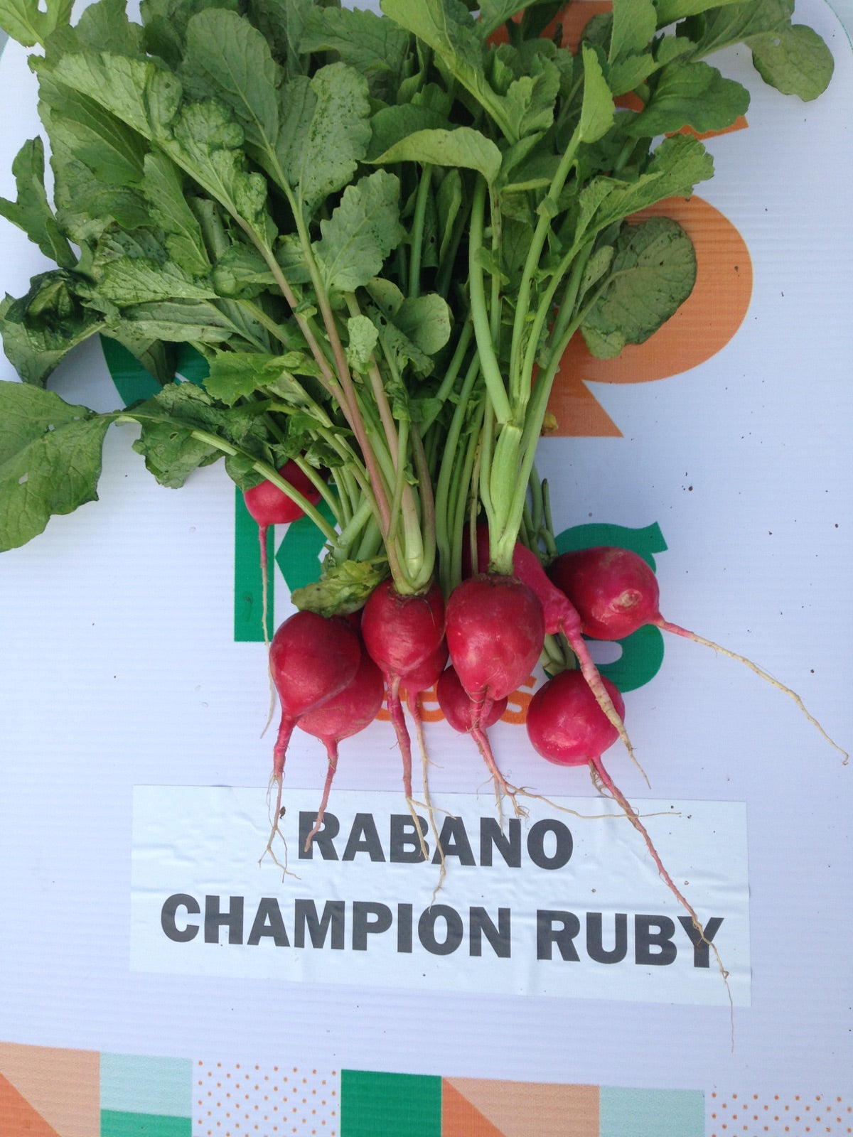 Rábano Ruby Sobre 1 Lb. Promoción 20+1
