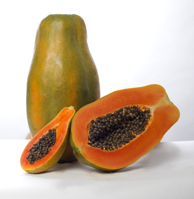 Papaya Mulata Sobre 2,500 semillas