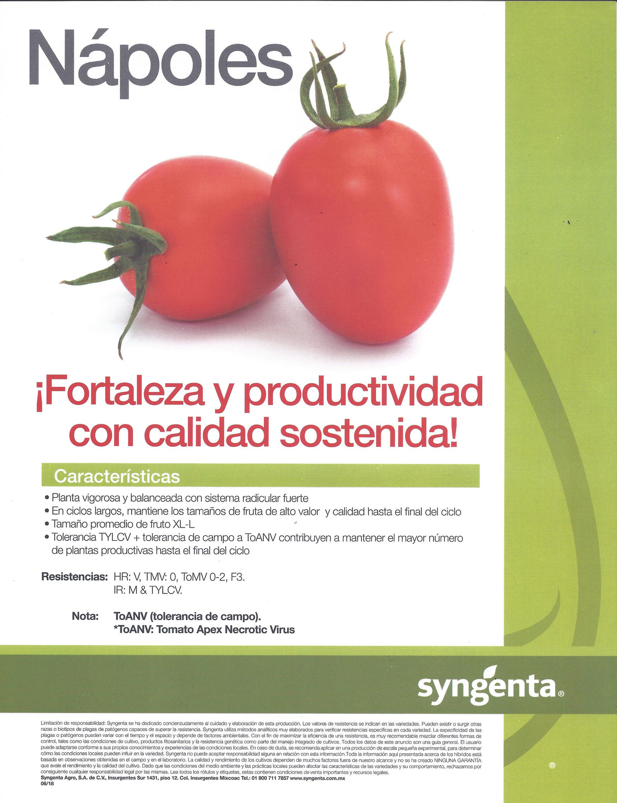 Tomate Nápoles Sobre 1 millar. Descuento 25% (se aplica en el carrito)
