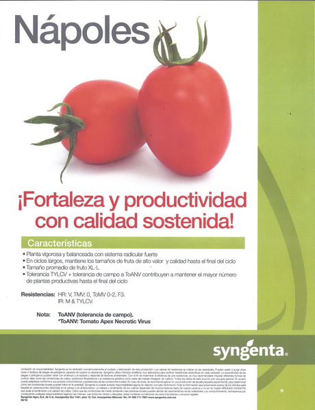 Tomate Nápoles Sobre 1 millar. Descuento 25% (se aplica en el carrito)